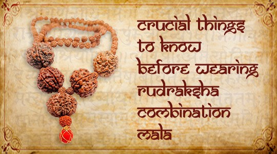 Crucial Things to Know Before Wearing Rudraksha Combination Mala