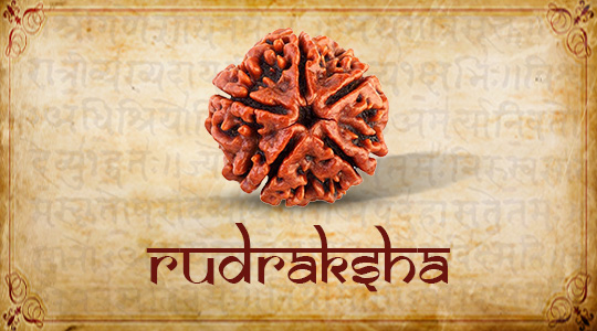 RUDRAKSHA